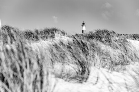 Prominent auf der Düne (Leuchtturm List-Ost am Ellenbogen, Sylt